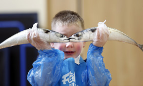 Ethan Gale from Welholme Primary with the eyes of the mackerel.